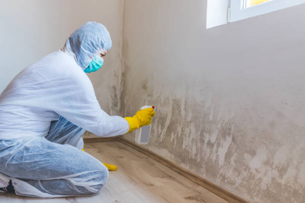 Mold inspector in White Plains performing thermal imaging