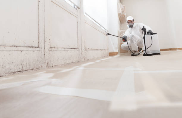 Black mold remediation team in White Plains